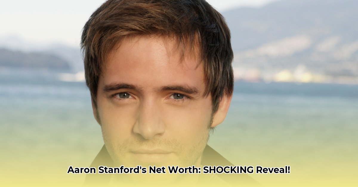 aaron-stanford-net-worth